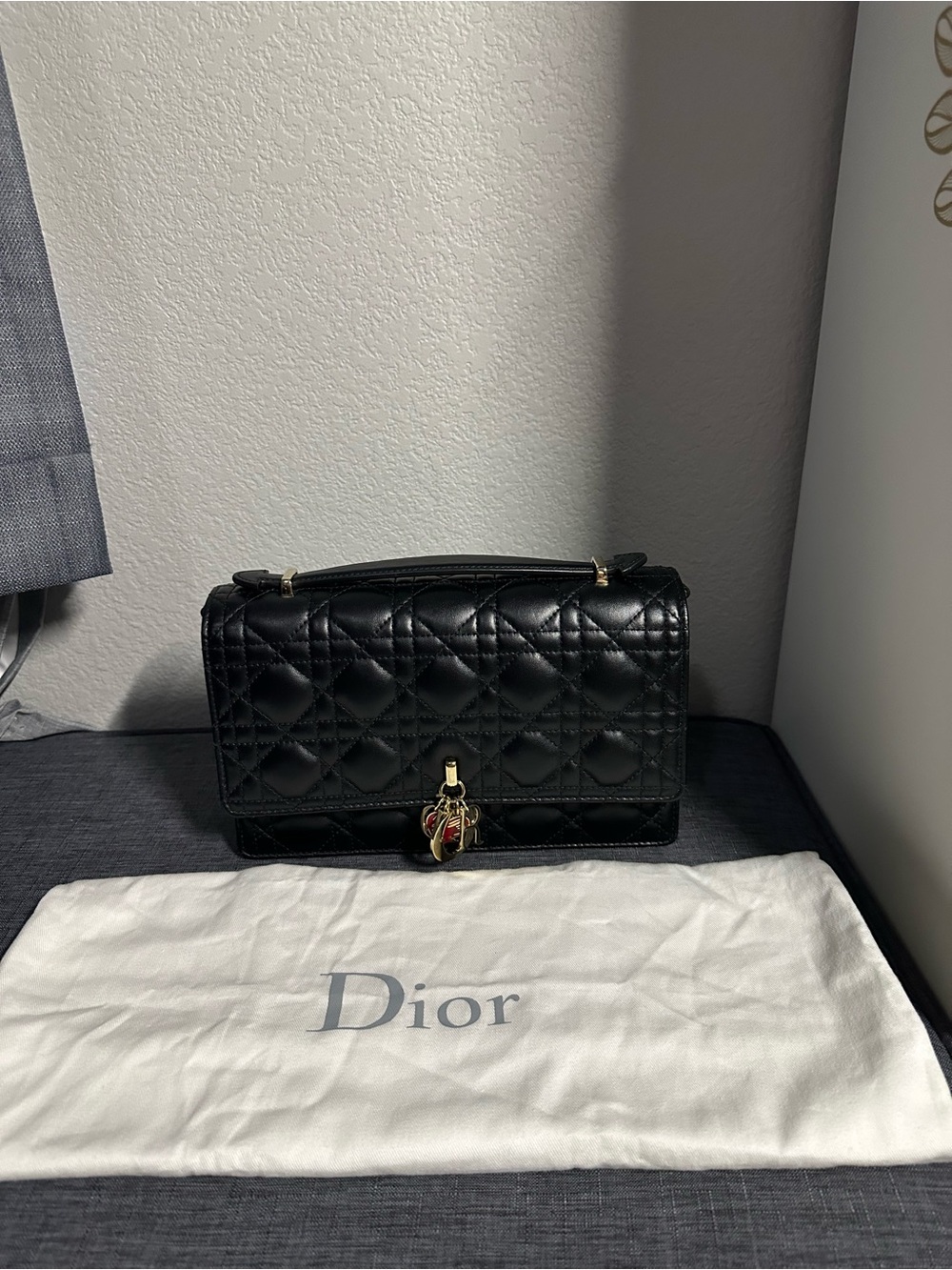 My Dior Top Handle Bag